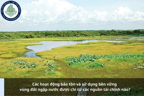 Các hoạt động bảo tồn và sử dụng bền vững vùng đất ngập nước được chi từ các nguồn tài chính nào?