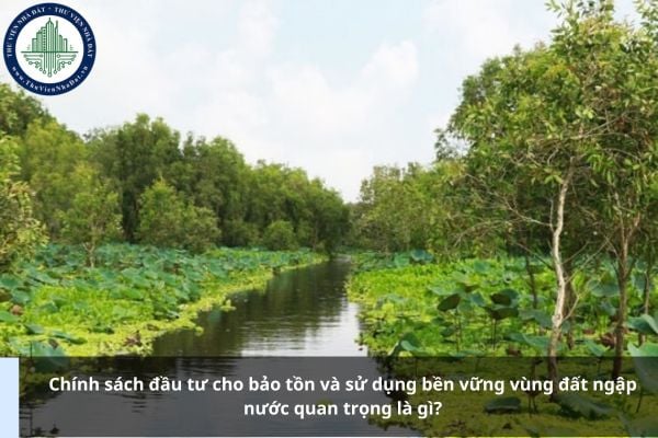 Chính sách đầu tư cho bảo tồn và sử dụng bền vững vùng đất ngập nước quan trọng là gì?