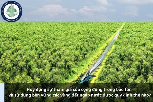 Huy động sự tham gia của cộng đồng trong bảo tồn và sử dụng bền vững các vùng đất ngập nước được quy định thế nào?