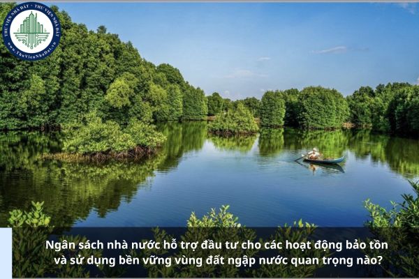 Ngân sách nhà nước hỗ trợ đầu tư cho các hoạt động bảo tồn và sử dụng bền vững vùng đất ngập nước quan trọng nào?