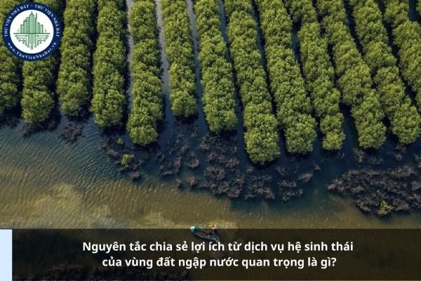 Nguyên tắc chia sẻ lợi ích từ dịch vụ hệ sinh thái của vùng đất ngập nước quan trọng là gì?