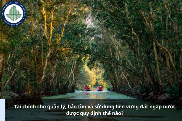 Tài chính cho quản lý, bảo tồn và sử dụng bền vững đất ngập nước được quy định thế nào?