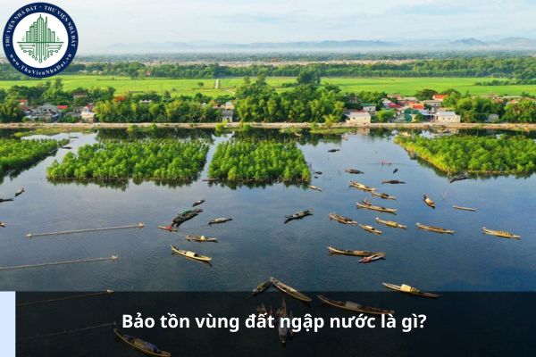 Bảo tồn vùng đất ngập nước là gì?