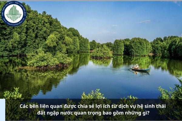 Các bên liên quan được chia sẻ lợi ích từ dịch vụ hệ sinh thái đất ngập nước quan trọng bao gồm những gì?