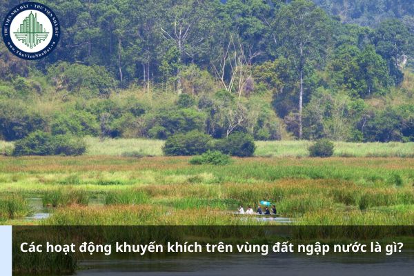 Các hoạt động khuyến khích trên vùng đất ngập nước là gì?