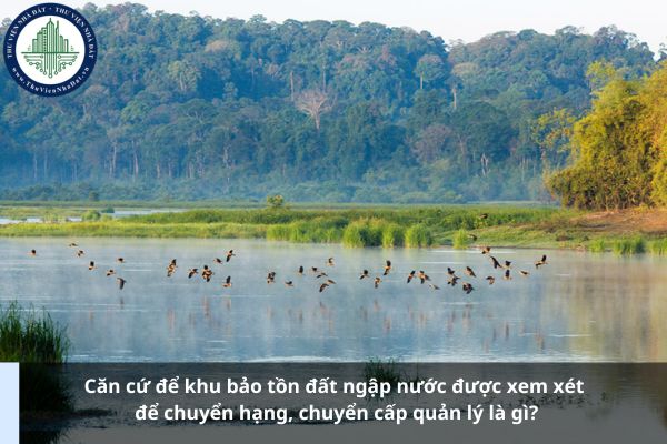 Căn cứ để khu bảo tồn đất ngập nước được xem xét để chuyển hạng, chuyển cấp quản lý là gì?