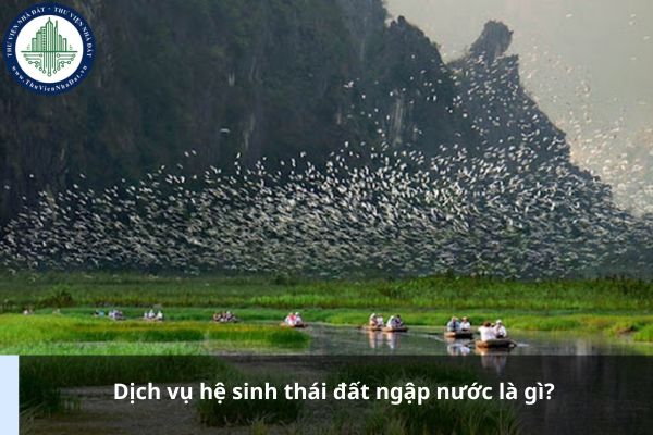 Dịch vụ hệ sinh thái đất ngập nước là gì?