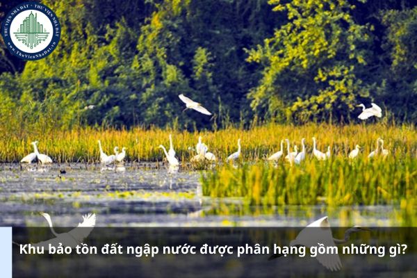 Khu bảo tồn đất ngập nước được phân hạng gồm những gì?