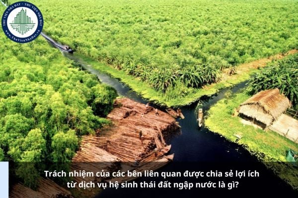 Trách nhiệm của các bên liên quan được chia sẻ lợi ích từ dịch vụ hệ sinh thái đất ngập nước là gì?