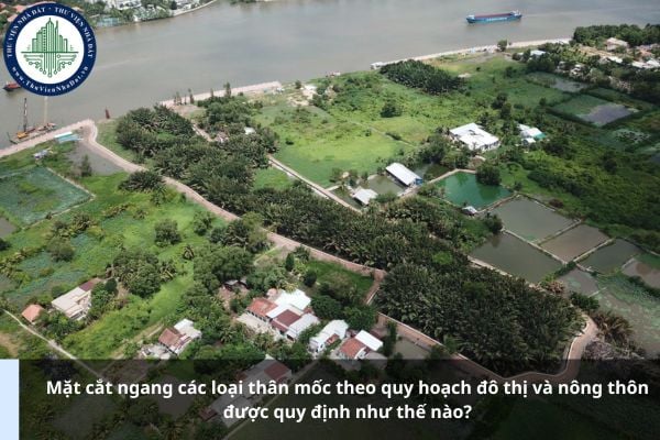 Mặt cắt ngang các loại thân mốc theo quy hoạch đô thị và nông thôn được quy định như thế nào?