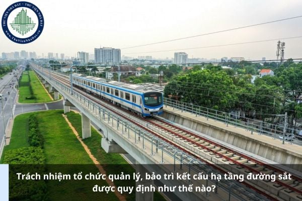 Trách nhiệm tổ chức quản lý, bảo trì kết cấu hạ tầng đường sắt được quy định như thế nào?