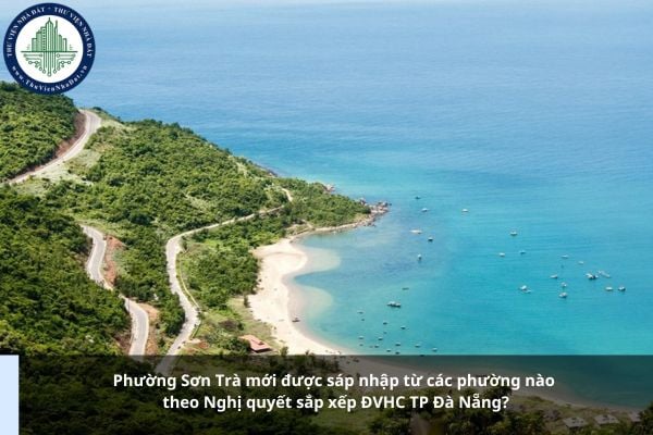 Phường Sơn Trà mới được sáp nhập từ các phường nào theo Nghị quyết sắp xếp ĐVHC TP Đà Nẵng?