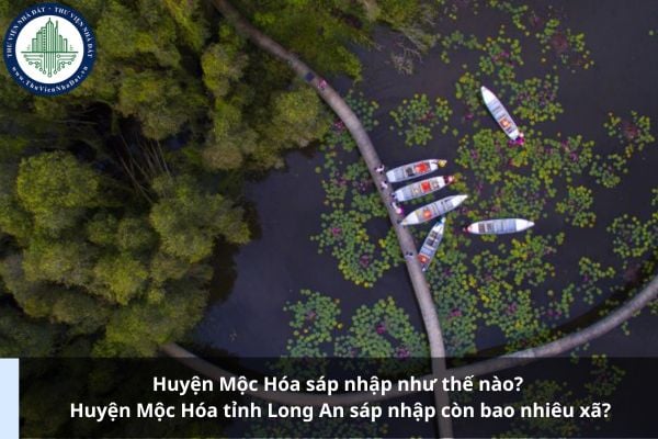 Huyện Mộc Hóa sáp nhập như thế nào? Huyện Mộc Hóa tỉnh Long An sáp nhập còn bao nhiêu xã?