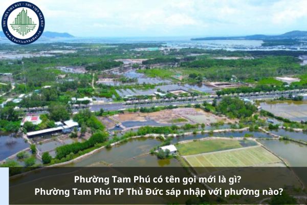 Phường Tam Phú có tên gọi mới là gì? Phường Tam Phú TP Thủ Đức sáp nhập với phường nào?