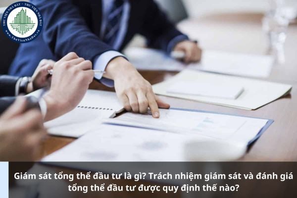 Giám sát tổng thể đầu tư là gì? Trách nhiệm giám sát và đánh giá tổng thể đầu tư được quy định thế nào?