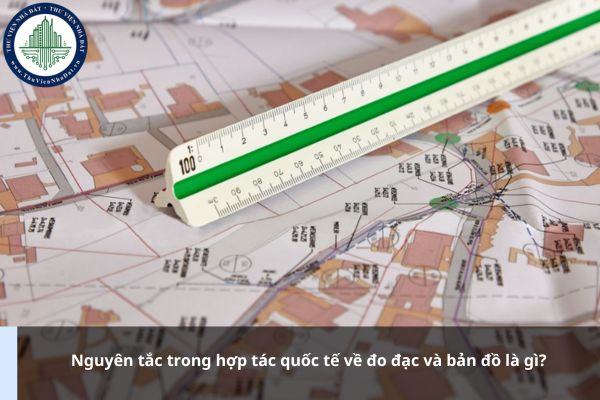 Nguyên tắc trong hợp tác quốc tế về đo đạc và bản đồ là gì?