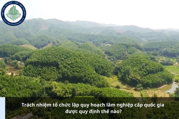 Trách nhiệm tổ chức lập quy hoạch lâm nghiệp cấp quốc gia được quy định thế nào?