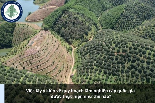 Việc lấy ý kiến về quy hoạch lâm nghiệp cấp quốc gia được thực hiện như thế nào?