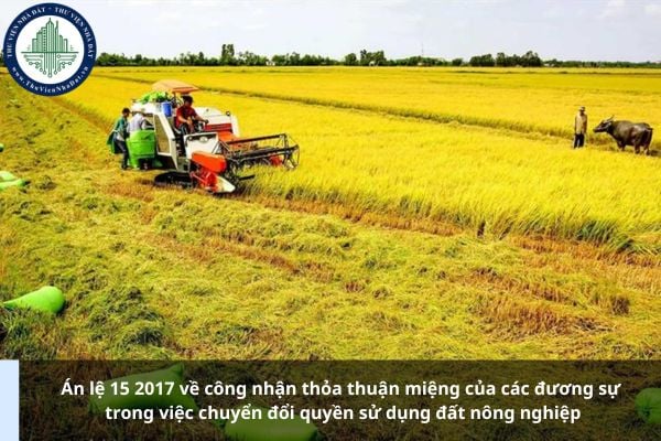 Án lệ 15 2017 về công nhận thỏa thuận miệng của các đương sự trong việc chuyển đổi quyền sử dụng đất nông nghiệp
