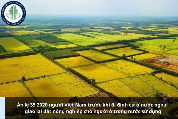 Án lệ 35 2020 người Việt Nam trước khi đi định cư ở nước ngoài giao lại đất nông nghiệp cho người ở trong nước sử dụng
