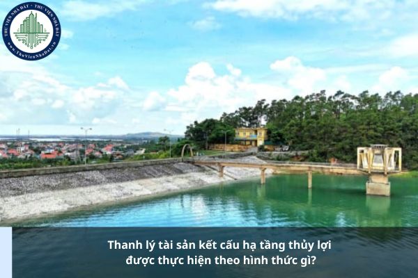 Thanh lý tài sản kết cấu hạ tầng thủy lợi được thực hiện theo hình thức gì?