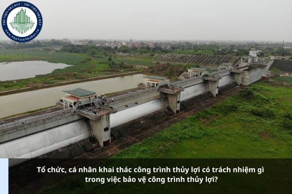 Tổ chức, cá nhân khai thác công trình thủy lợi có trách nhiệm gì trong việc bảo vệ công trình thủy lợi?