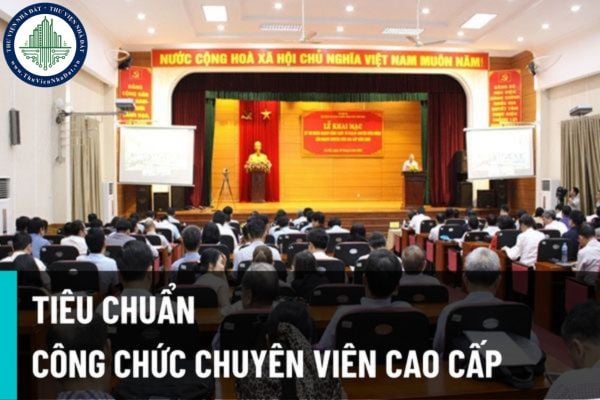 Tiêu chuẩn chuyên môn, trình độ của công chức ngạch chuyên viên cao cấp ở cơ quan Trung ương hoặc cấp tỉnh từ 15/8/2022?