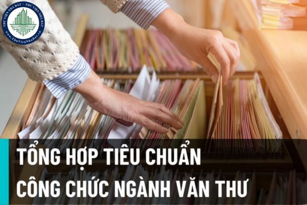 Tổng hợp tiêu chuẩn của công chức ngạch văn thư trong cơ quan tổ chức hành chính các cấp từ ngày 15/8/2022?
