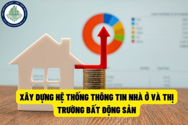 Xây dựng, duy trì vận hành hệ thống thông tin về nhà ở và thị trường bất động sản thông qua những hoạt động gì?