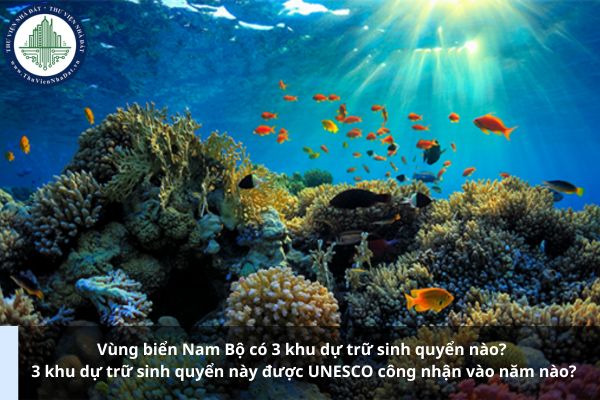 Vùng biển Nam Bộ có 3 khu dự trữ sinh quyển nào? 3 khu dự trữ sinh quyển này được UNESCO công nhận vào năm nào? (Ảnh từ Internet)