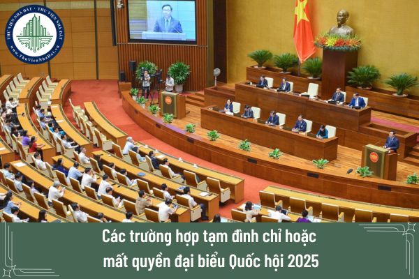 Các trường hợp tạm đình chỉ hoặc mất quyền đại biểu Quốc hội 2025