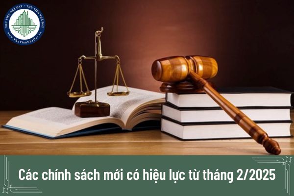 Các chính sách mới có hiệu lực từ tháng 2 2025