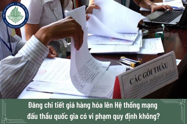 Đăng chi tiết giá hàng hóa lên Hệ thống mạng đấu thầu quốc gia có vi phạm quy định không?