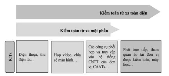 Các dạng kiểm toán từ xa
