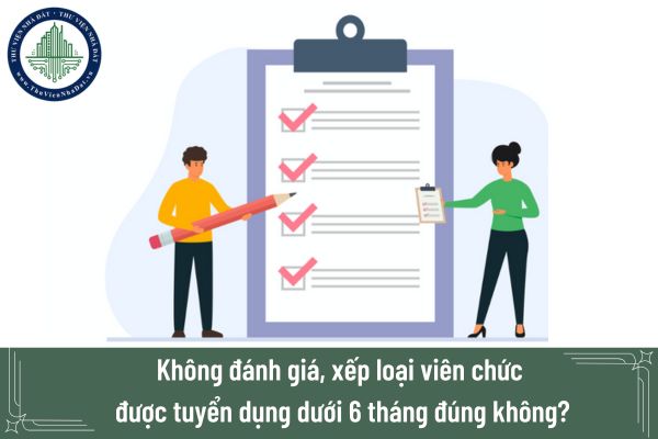 Không đánh giá, xếp loại viên chức được tuyển dụng dưới 6 tháng đúng không?