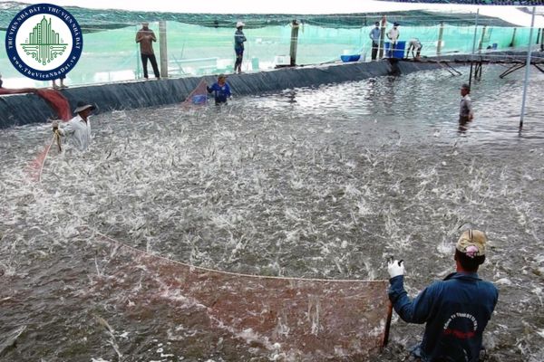 Điều kiện để được bồi thường 100% giá trị thủy sản vật nuôi khi bị thu hồi đất tại Hà Nội theo Quyết định 43/2025