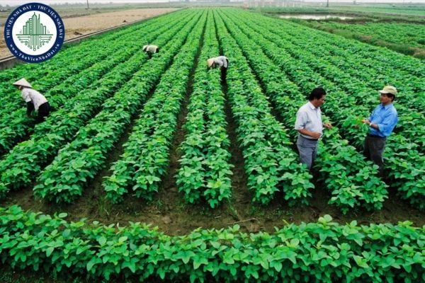 Hạn mức sử dụng đất nông nghiệp trồng cây hàng năm của 34 tỉnh thành Việt Nam 