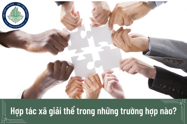 Hợp tác xã giải thể trong những trường hợp nào?