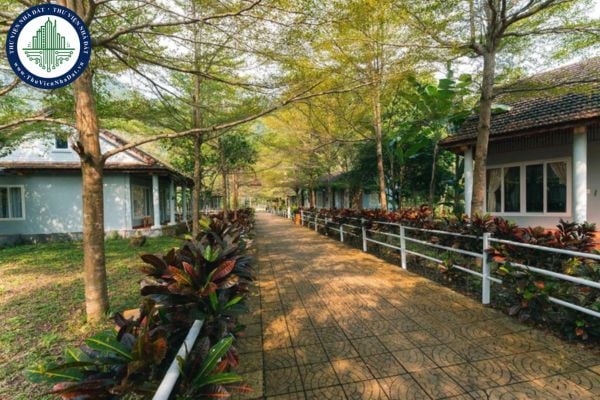 https://cdn.thuviennhadat.vn/upload/hinh-anh-bai-viet/TTN/khu-nghi-duong-chay-lap-riverside-homestay-quang-tri-co-quy-mo-nhu-the-nao.jpg
