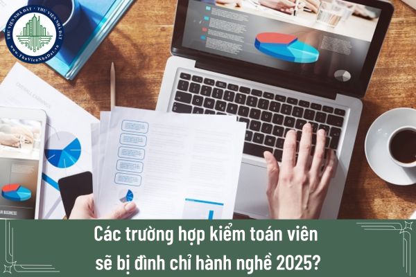 Các trường hợp kiểm toán viên sẽ bị đình chỉ hành nghề 2025?