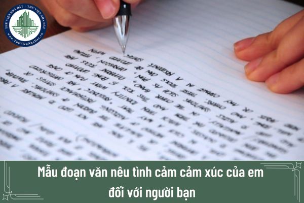 Mẫu đoạn văn nêu tình cảm cảm xúc của em đối với người bạn dành cho học sinh tiểu học