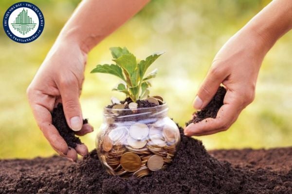 Miễn giảm tiền thuê đất cho tổ chức sử dụng lao động là người khuyết tật theo Nghị định 230/2025