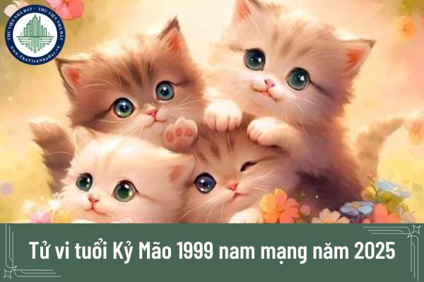 Năm 2025, nam mạng Kỷ Mão 1999 sao gì chiếu mệnh?