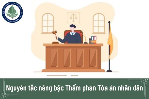 Nguyên tắc nâng bậc Thẩm phán Tòa án nhân dân năm 2025