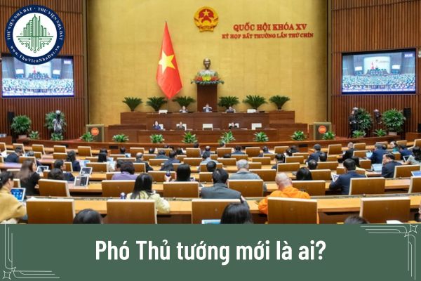 Phó Thủ tướng mới là ai?