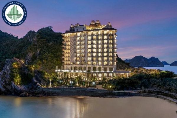 https://cdn.thuviennhadat.vn/upload/hinh-anh-bai-viet/TTN/quy-mo-cua-khach-san-m-gallery-cat-ba-5-sao-thanh-pho-hai-phong-hotel-perle-dorient-cat-ba.jpg