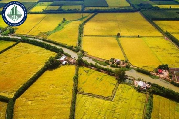 Tải file Nghị quyết 216/2025 kéo dài thời hạn miễn thuế sử dụng đất nông nghiệp