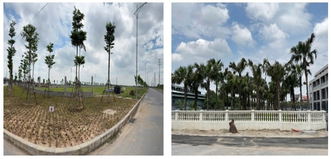 Hiện trạng sử dụng đất trên khu đất dự án Cụm công nghiệp Minh Khai