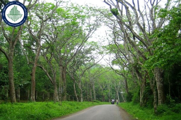 https://cdn.thuviennhadat.vn/upload/hinh-anh-bai-viet/TTN/trinh-tu-thu-tuc-chap-thuan-chuyen-muc-dich-su-dung-dat-rung-dac-dung-sang-muc-dich-kha.jpg