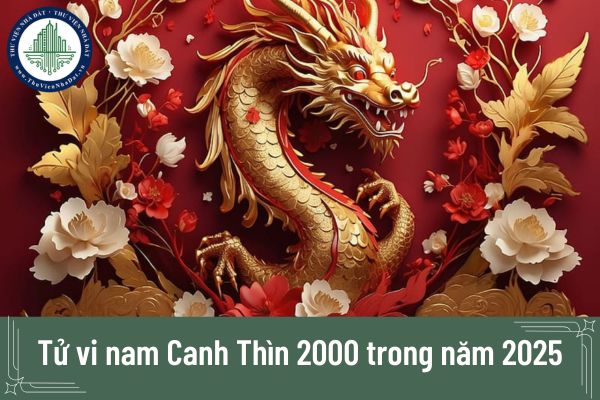 Tử vi nam Canh Thìn 2000 trong năm 2025